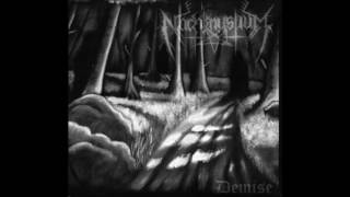 Nachtmystium - Demise - Rise And Fall