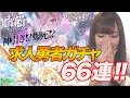 【白猫】勇者と魔王求む!!求人勇者ガチャ66連