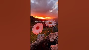 :﴿عَيْنًا فِيهَا تُسَمَّى سَلْسَبِيلًا﴾ [سورة الإنسان: 18] #اللحيدان #راحة_نفسية #تلاوة_خاشعة #قرآن