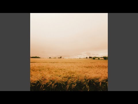 Our Place
