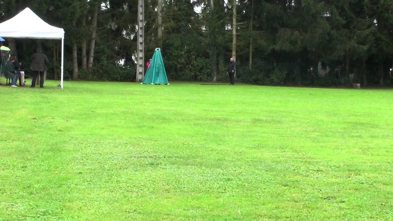 CMBF 2014 6.Platz Boe de la Bergerie Boubonnaise IPO3 Abt C