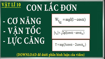 Cơ năng, vận tốc, lực căng dây treo con lắc đơn.