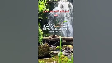 تلاوة هادئة وراحة نفسية #اكسبلور #دويتو