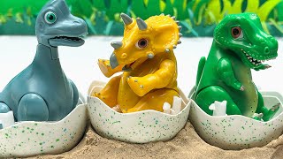 3 Dinosaur Egg Hatching | Tyrannosaurus Rex Triceratops Brachiosaurus 공룡알 티라노사우루스 브라키오사우루스