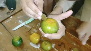 Praktikum Kimia Sel Volta  Bahan Alami buah Jeruk