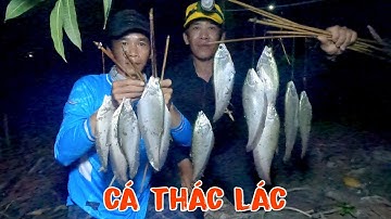 Trải nghiệm câu cá thác lác cùng anh Định , Một sự cố xảy ra xém cháy giỏ lãi và CÁI KẾT