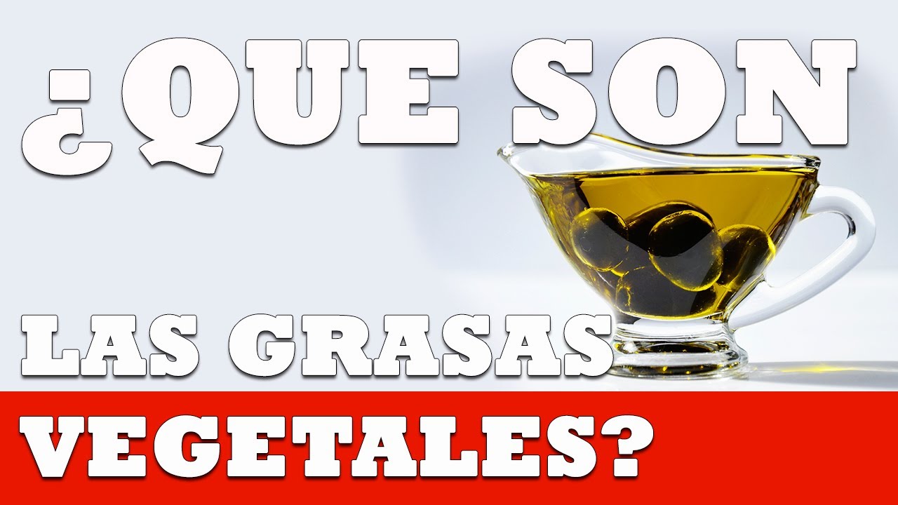 Que son las GRASAS VEGETALES Vida Saludable Salud YouTube Que son las GRASAS VEGETALES Vida Saludable Salud YouTube
