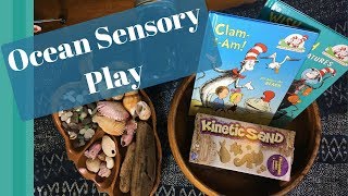 Ocean Sensory Bin Setup, Toddler Sensory Play, Montessori At Home