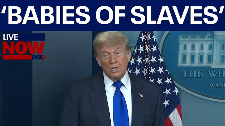 FULL: Trump birthright citizenship remarks "Meant for babies of slaves"