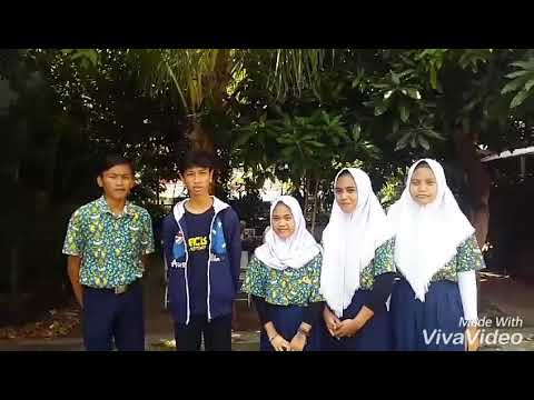 cara-membuat-tanaman-hidroponik-bayam-(tugas-ipa)