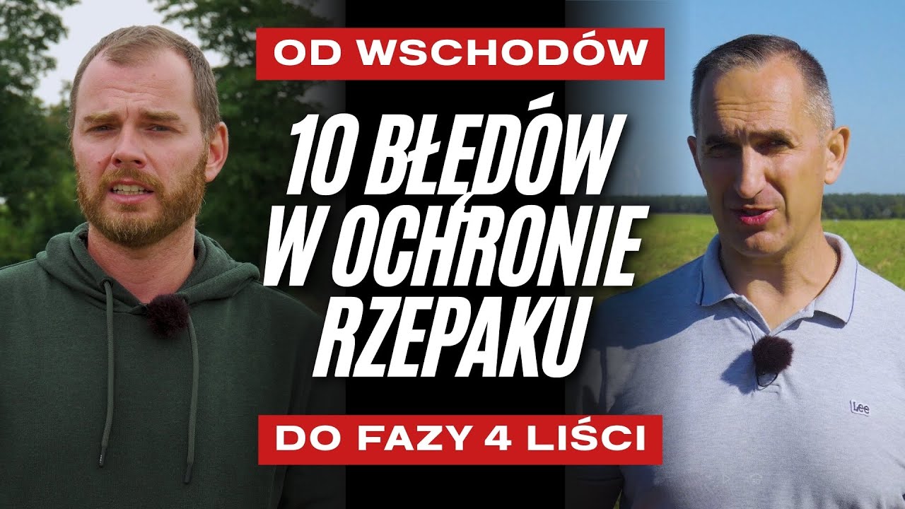 📌10 błędów w ochronie rzepaku od wschodów do 4 liści | e pole