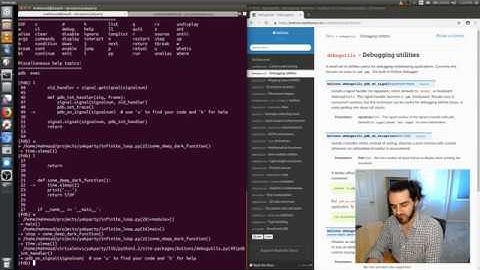 Pattern Catching - Part 03 - Debugging Infinite Loops in Python, with boltons.debugutils