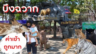 บึงฉวาก สุพรรณบุรี ค่าเข้าชม ถูกมาก | ชมสัตว์น้ำ อควาเรียม อุโมงค์ปลาฉลาม สวนสัตว์ เสือเยอะมาก