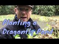 Planting a Dragonfly Pond + How to plant your new pond for Dragonflies