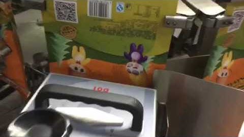 Dikai D01 on Rotary Premade bag fill seal packaging machine