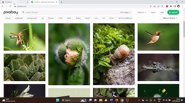 Thunkable Environment | Mobile Development for Beginners using Thunkable | Speak Project Part1