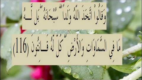 القران الكريم سورة البقرة الاية  116