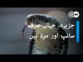 The island of men and snakes | صرف سانپوں اور آدمیوں کا جزیرہ