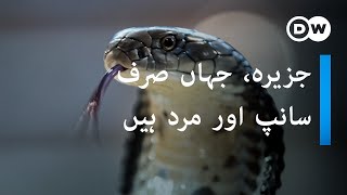 The island of men and snakes | صرف سانپوں اور آدمیوں کا جزیرہ