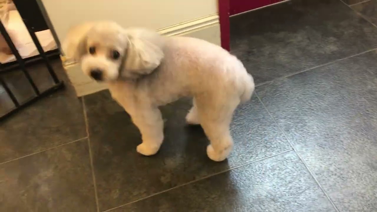 はるちゃんと遊ぶ♪ - YouTube