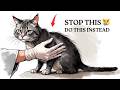 7 Ways Your Cat Wants You To Love Them Most Owners Miss 3 7 Ways Your Cat Wants You To Love Them Most Owners Miss 3