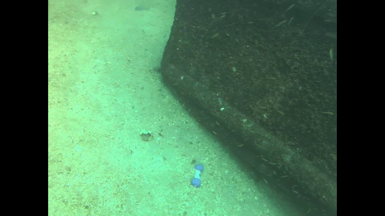 Eglin Landing Craft, Destin Diving SCUBA YouTube