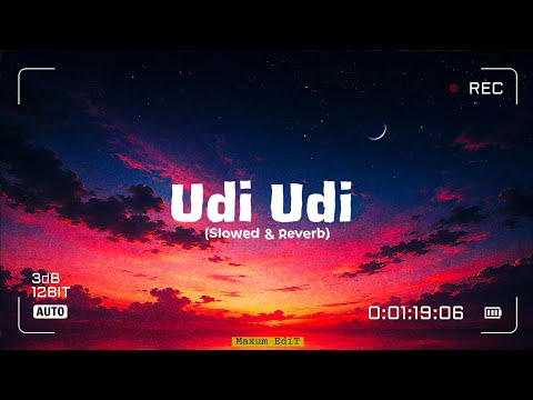 Udi Udi (Slowed & Reverb) || Aneesh Poojari || Maxum EdiT