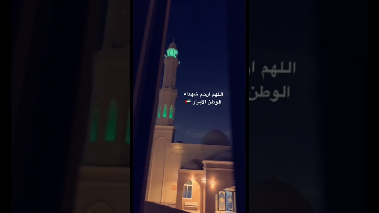 "ولا تقولوا لمن يقتل في سبيل الله أموات بل أحياء ولكن لا تشعرون" | تلاوة خاشعة