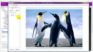 TOWeb - How to change the slider size