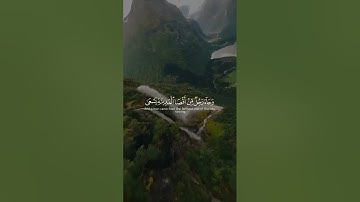 ما تيسر من سورة القصص القارئ #قرآن ياسر الدوسري