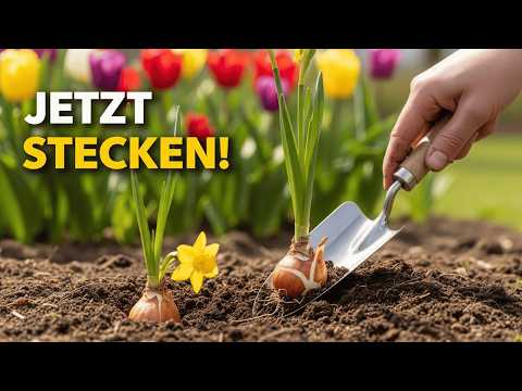 The Ultimate Flower Bulb Guide - The 3 Biggest Mistakes You Must Avoid