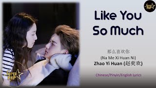 Like you so much (那么喜欢你) | Zhao Yihuan (赵奕欢) | The Brightest Star in the Sky (夜空中最闪亮的星) OST Lyrics