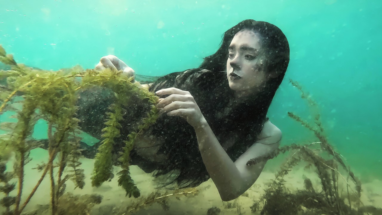 The joyful life of a selkie