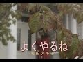 (カラオケ) よくやるね / 和田アキ子