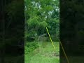 #smithtown #longisland #foryou #worldattractions #travel #trending #viralvideo #world