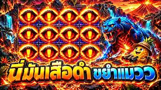 fibzy สล็อต ฟิบซี่ บินไม่พัก นี่มันเสือดำ ขยำแมวว 🐅😮!!   GATES OF PYROTH
