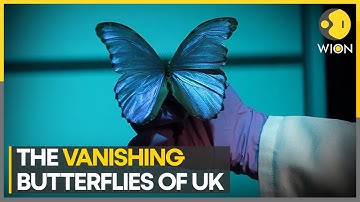 Wildlife lovers urged to join Uk