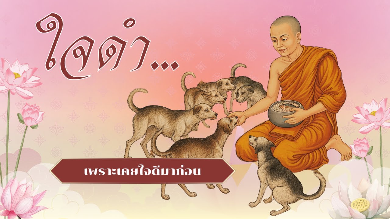 ทุกการ "ใจดำ" ของฉัน... เต็มไปด้วยความใจดีมาก่อน (สร้างขอบเขตเพื่อรักตัวเอง)