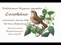 Власний проєкт від Інни Борисенко_Дивовижна Музика природи_Соловейко (відео, читання, 60 % фото)