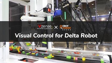 Applications Scenario - Dynamic Tracking and Sorting System by 3D RGB-D ToF Camera and Delta Robot