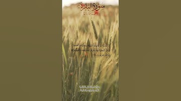 الآية  ٢٧٦ و ٢٧٧ من سورة البقرة صفحة ٤٧ من القرآن الكريم مذاكرة وتثبيت الحفظ القاريء هيثم الدخين 🎧✨️