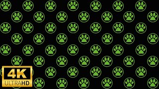 Cat Noir Animated Logo (4K/HD) moving background wallpaper Miraculous Ladybug