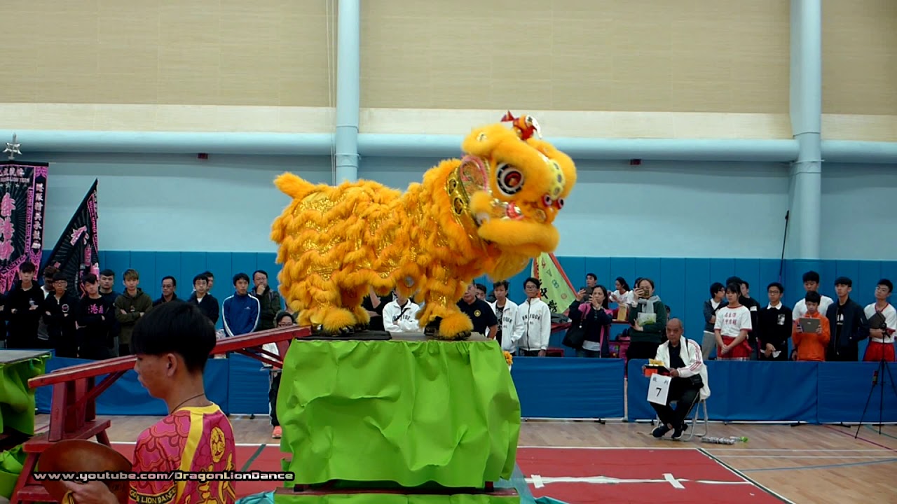 姜氏金龍醒獅團D隊  
