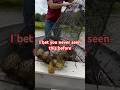 Easy catfish trap 🪤 #shorts #fishing #fishingvideo #fish #catfish #catfishing