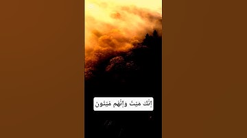 إِنَّكَ مَيِّتٌ وَإِنَّهُم مَّيِّتُونَ#سورة_الزمر#ياسر_الدوسري#قرآن#قران_كريم #راحة#موت#هدوء#نار