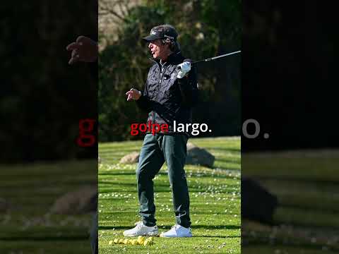 ORDENANDO EL SWING SENIOR
