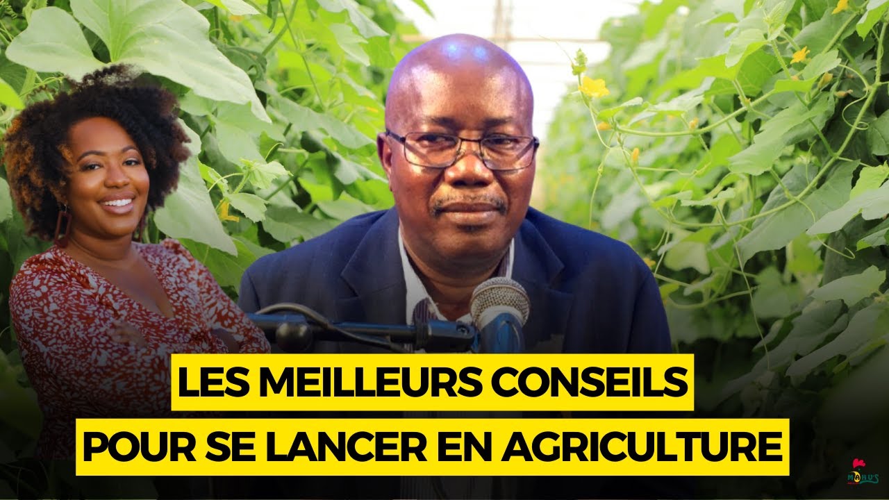 TOP SECRET! Il donne des CONSEILS Clés pour Vous LANCER en Agriculture. TECHNOLOGIE SOUS SERRE.