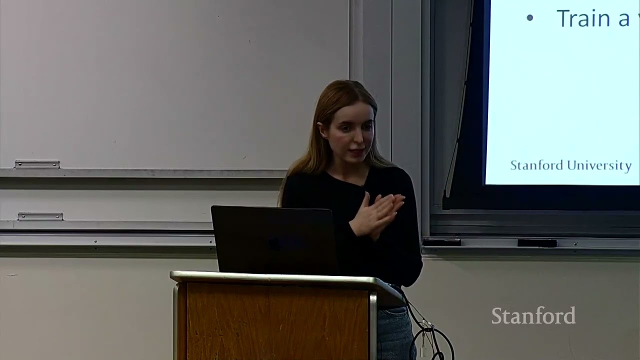 Stanford CS329A Self-Improving AI Agents | Part 3 | Robust Verification