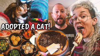 Baking a cake, Meeting a Cat, and Not Eating Dim Sum