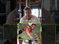 JAY CUTLER’S CURRENT SPLIT